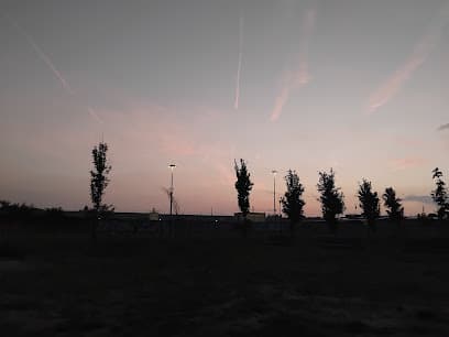 Area Cani - Parco Sandra e Raimondo