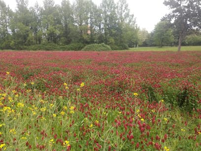Area Cani - Parco delle Cave