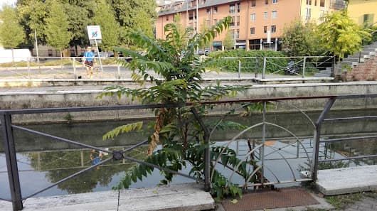 Area Cani - San Valentino