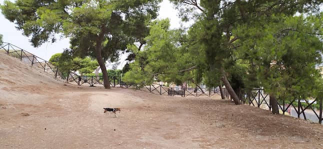 Area Cani Buoncamino