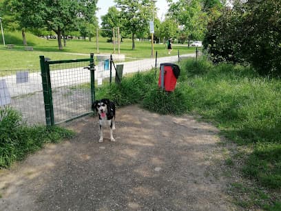 Area Cani Di Parco Amendola