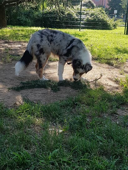 Area Cani Villaggio Sereno