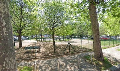 Area cani - Firenze