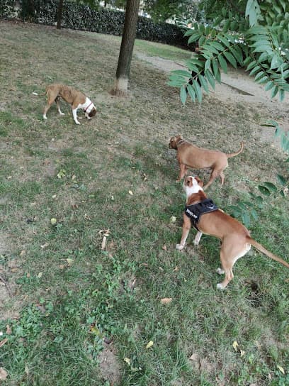 Area cani - Napoli 2