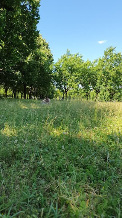 Area cani - Racconigi