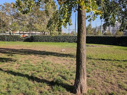 Area cani - Umbria