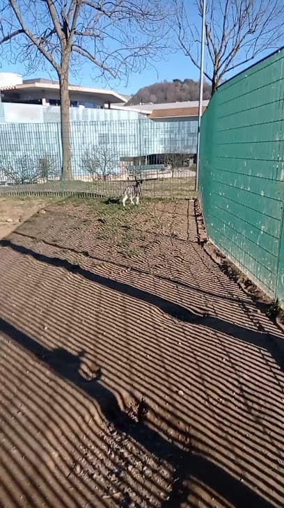 Area cani - via Richelmy