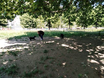 Area cani Parco Dora