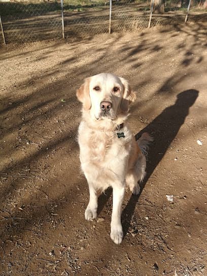 Area cani Via Giovanni Caselli