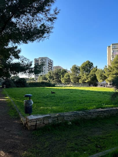 Area cani Via Suglia - Parco Annoscia
