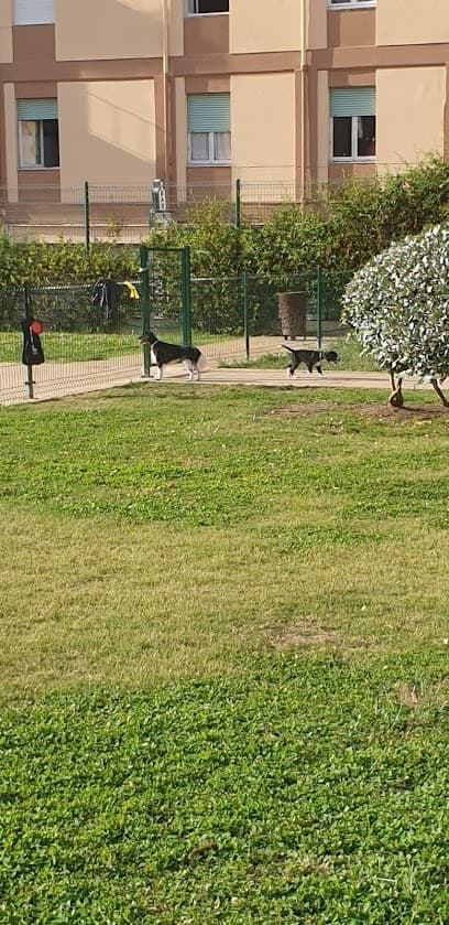 Area cani di Via Carducci (sopra multipiano)