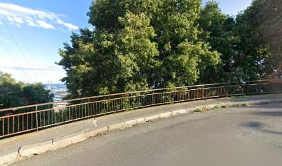 Area cani di via Rigola