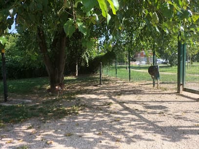 Area cani di viale Sicilia