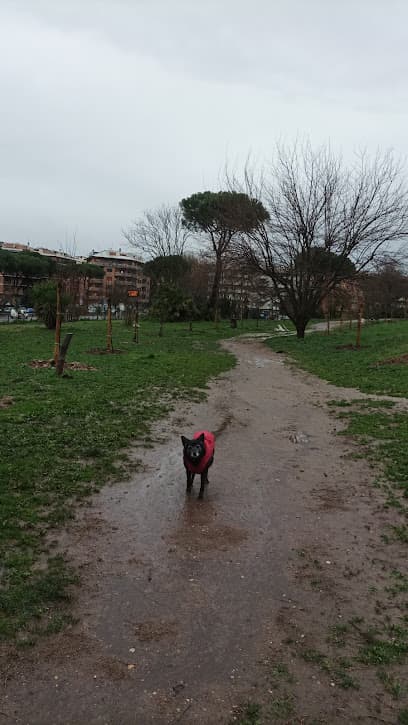 Area cani recintata
