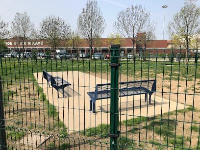 Area cani recintata