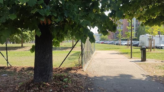 Area cani venchi unica