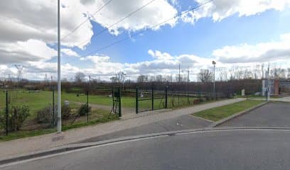 Area cani via del pesciolino