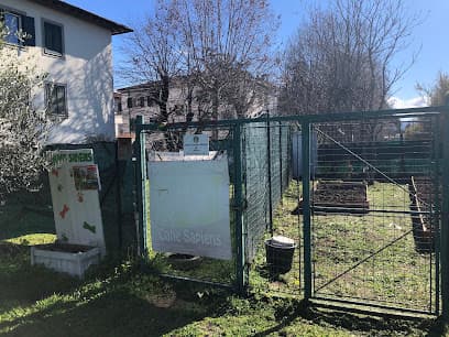 Area cani-Cane Sapiens ASD