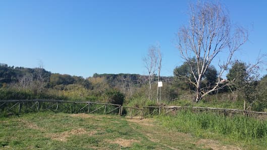 Area cani