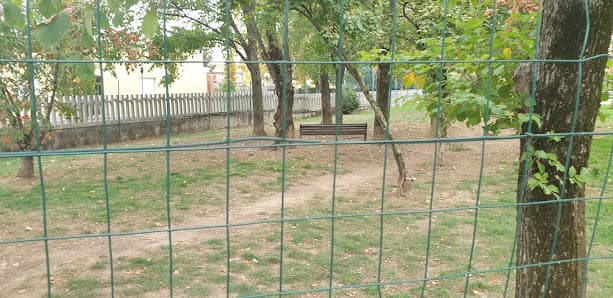 Area cani
