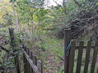 Area ludica per cani