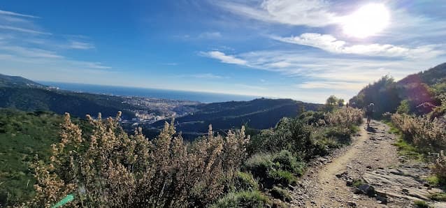 Area naturale di Parco delle Mura