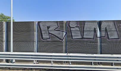 Area parco recintata per cani 2