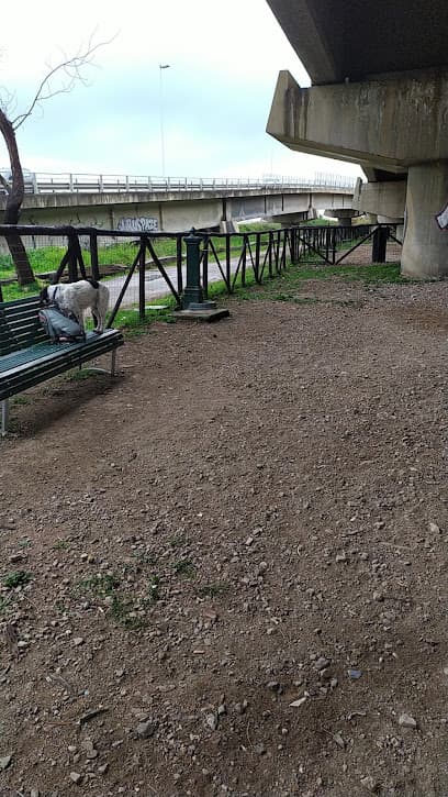 Area per cani sotto il ponte