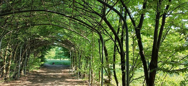 Area sgambamento cani-Parco dell'Acqua
