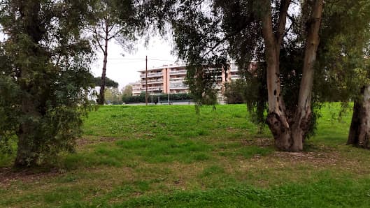 Area sgambamento cani