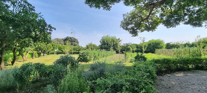 Bosco di Capodimonte