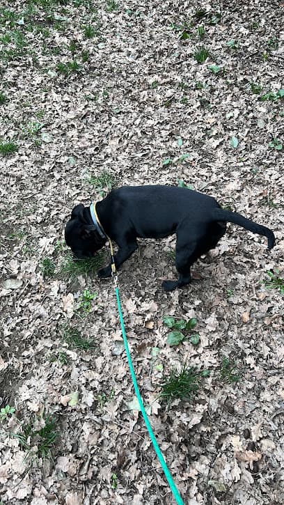 Giardino Carmelo Gamuzza