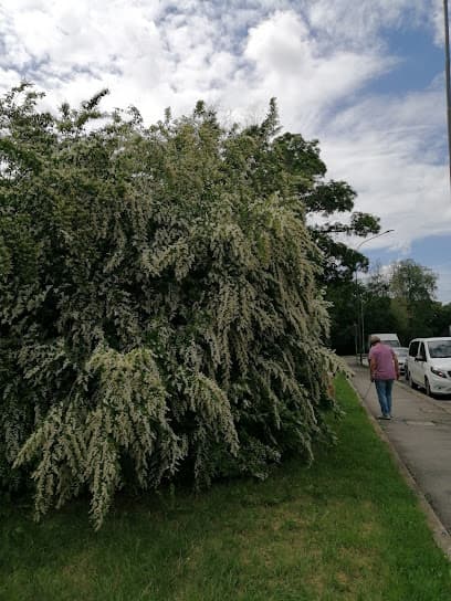 Giardino Nino Luccarini