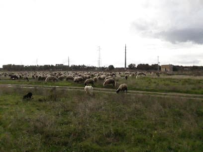 Giardino Pratolagemma