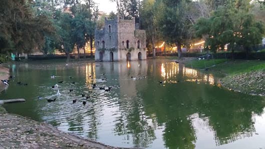 Laghetto di Fasilides