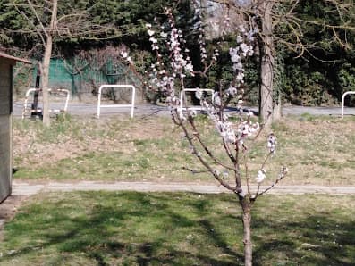 Orto Capovolto