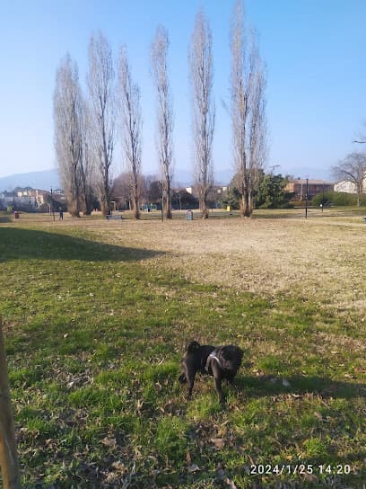 Parco Belvedere