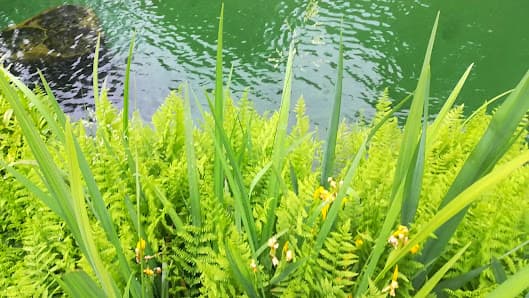 Parco Di Canton Mombello