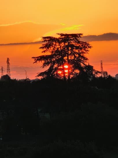Parco Gino Cervi