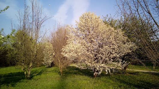 Parco Maggiolino