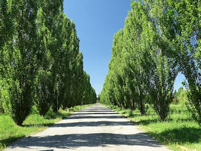 Parco Nilde Iotti (parco Ottavi)