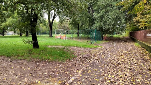 Parco Per Cani