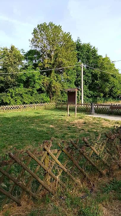 Parco area recintata per cane