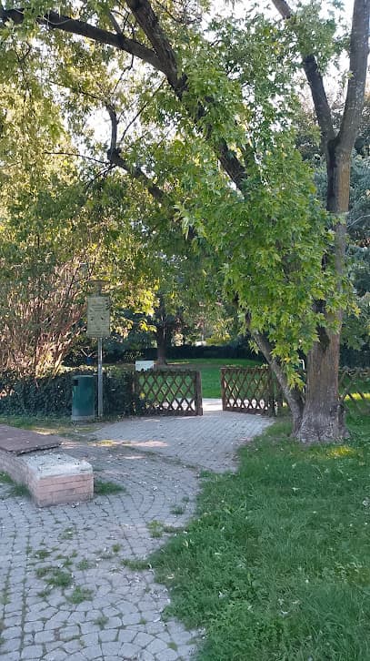 Parco area recintata per cani