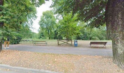 Parco area recintata per cani