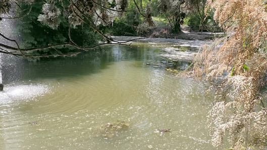 Parco della Repubblica