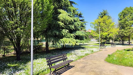 Parco pubblico