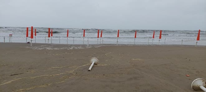 Spiaggetta libera per cani (area delimitata)