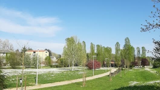 parco delle raganelle