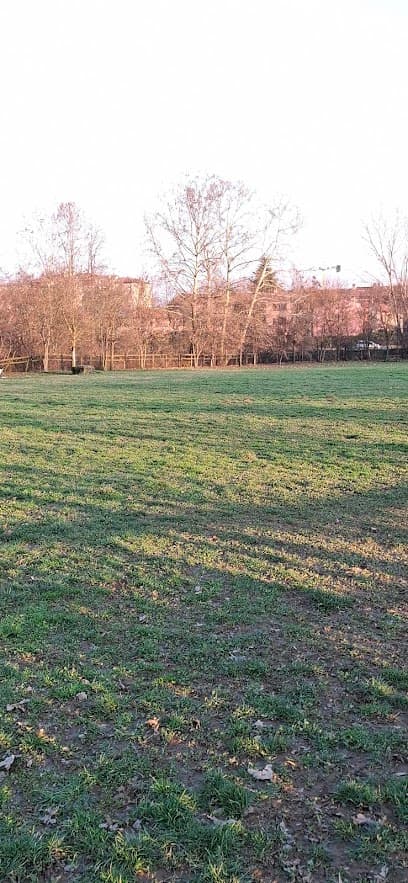 Area Cani - Parco della Trucca